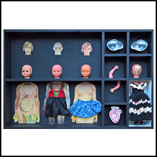 Anatomia 2