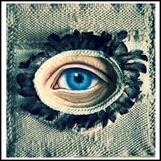 The Lover's Eye