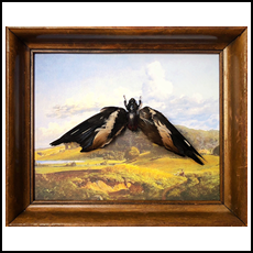 Wolpertinger